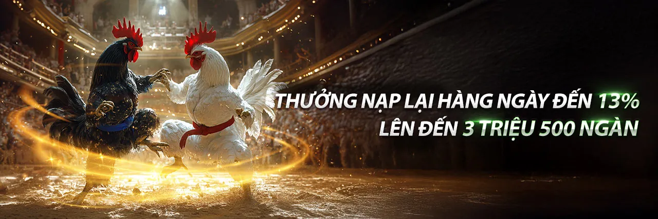 Trực Tiếp Đá Gà 188 – Sảnh Cược Đỉnh Cao
